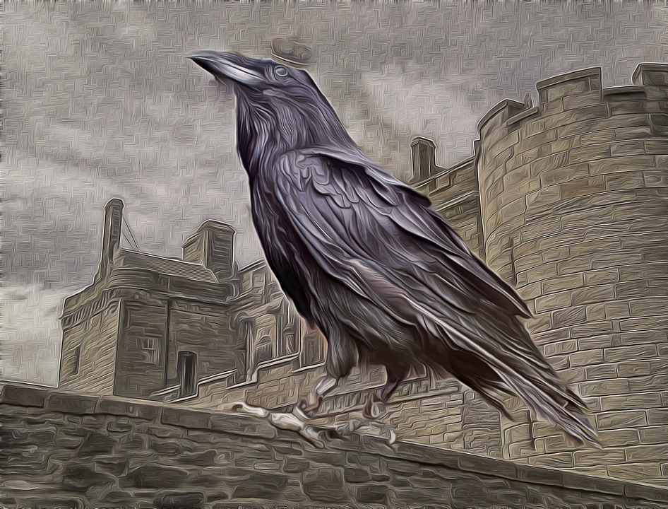 Le corbeau illustre un chapitre du roman de vampire gothique Déviance Tome 2 : Renaissance